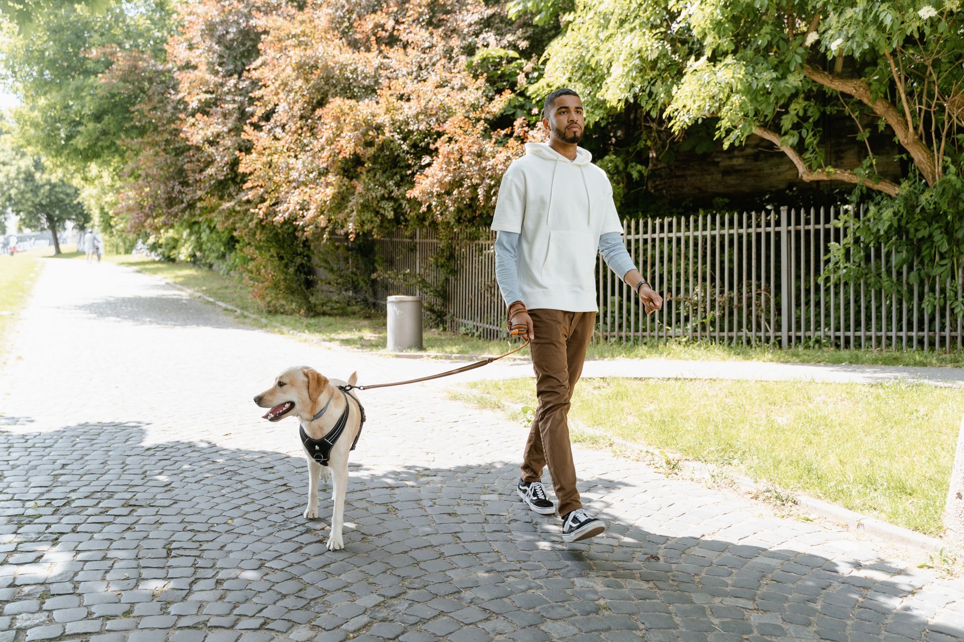 Homme en sweat à capuche blanc et pantalon marron qui marche d'un pas tranquille sur un chemin pavé bordé d'arbres, la poignée d'une laisse brune à la main, à côté d'un chien au poil clair en harnais noir qui avance la gueule ouverte, la laisse retombant en arc entre eux