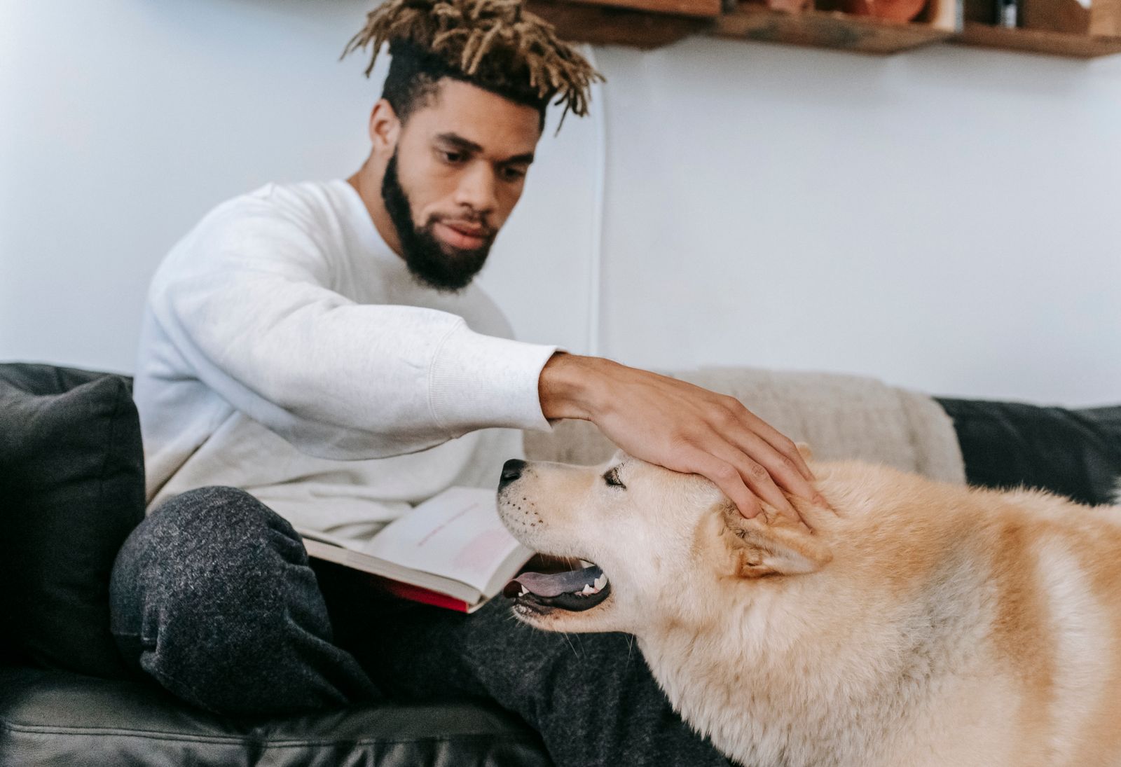 Homme barbu en pull blanc assis sur un canapé gris, un livre ouvert sur les genoux, la main posée sur la tête d'un chien au pelage crème