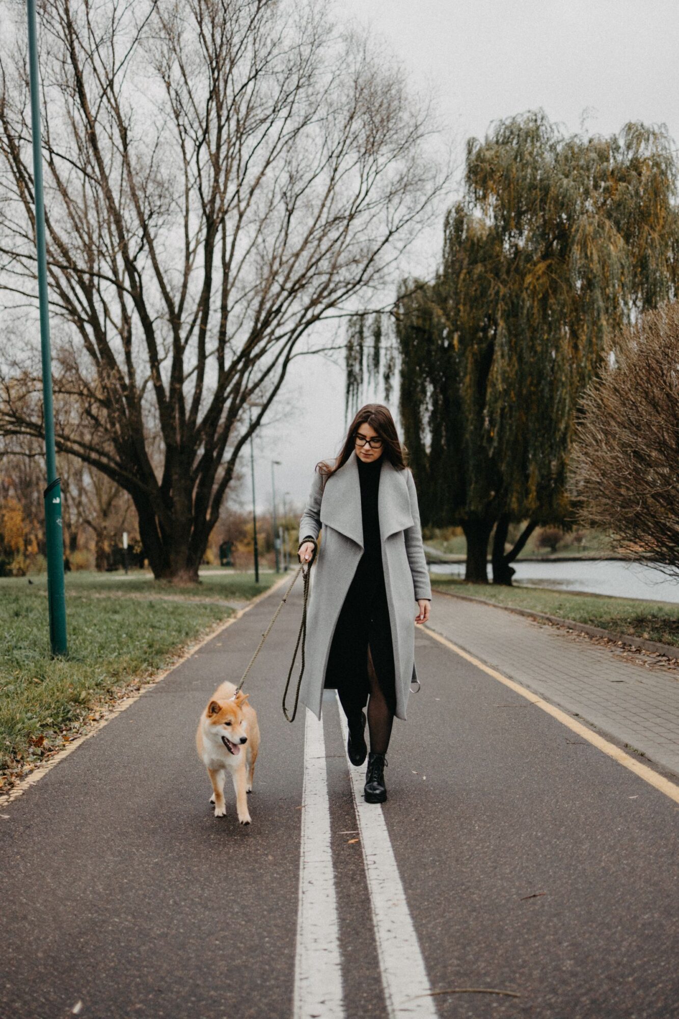 Femme en manteau gris marchant sur une allée goudronnée bordée d'arbres presque nus, un petit chien clair marchant devant elle