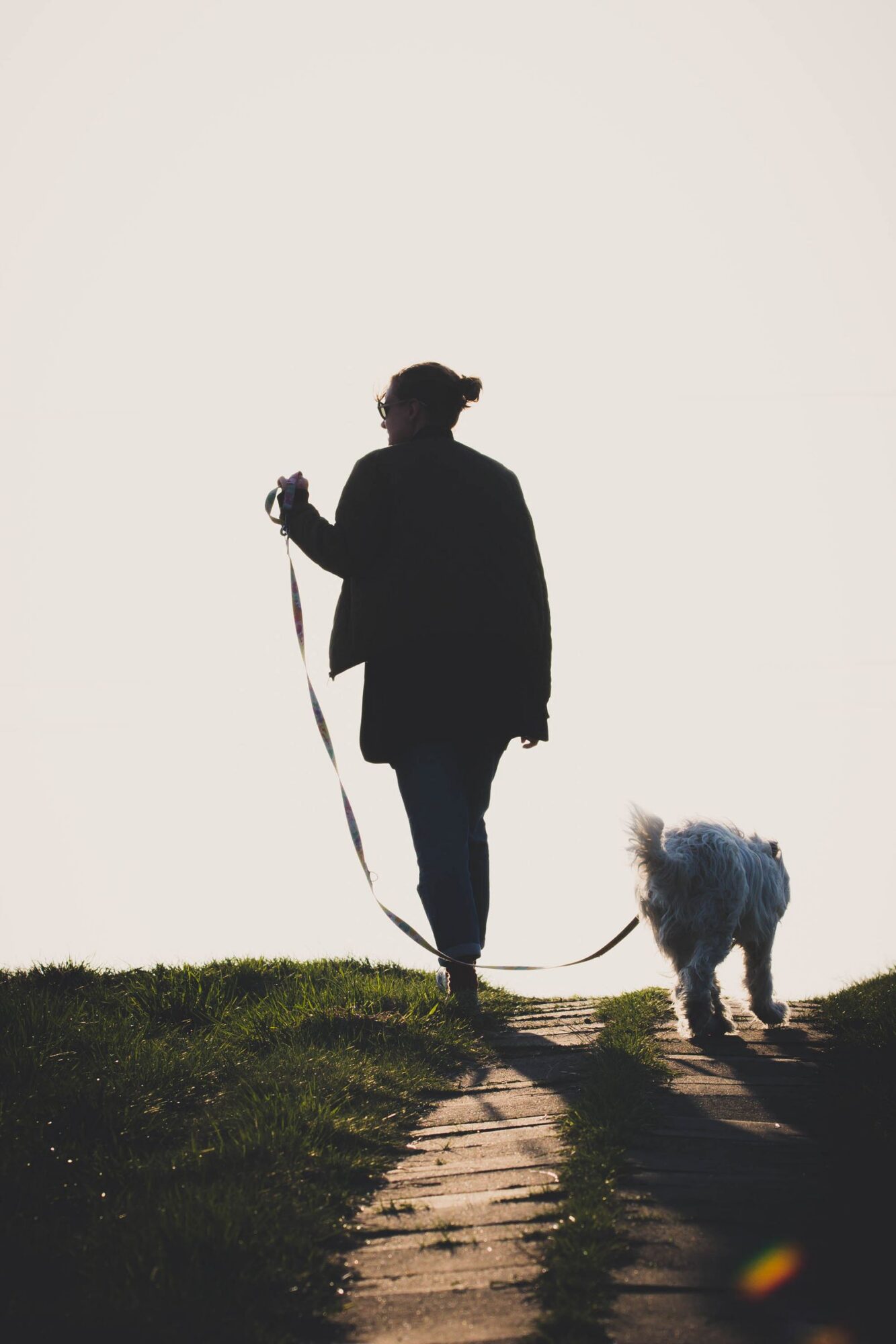 Silhouette d'une femme qui promène son chien clair en laisse sur un sentier herbeux, devant un ciel pâle
