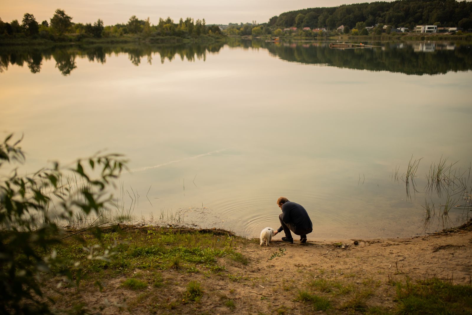 Personne accroupie sur la rive sablonneuse d'un lac calme au crépuscule, à côté d'un petit chien blanc, avec des reflets sur l'eau