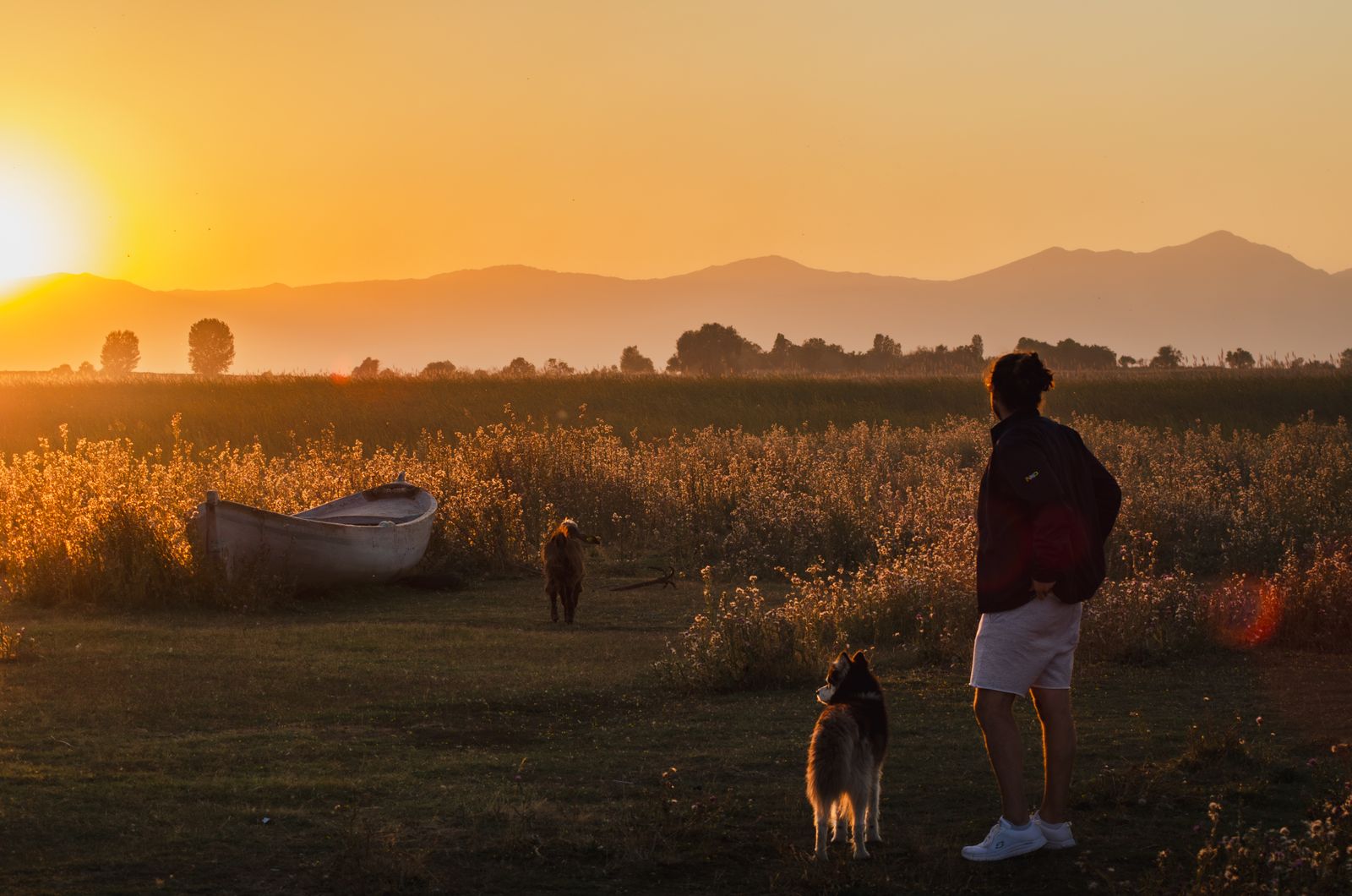 Personne vue de dos, en veste sombre et short blanc, debout sur l'herbe au coucher du soleil devant un champ de hautes herbes où repose une barque blanche, avec un chien à côté d'elle, un autre un peu plus loin et des montagnes au fond